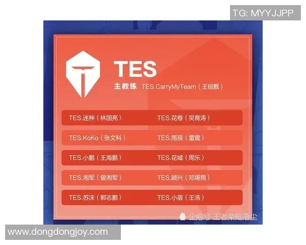 王者荣耀战术解析：深入探讨WE战队的灵活转换体系与战略布局