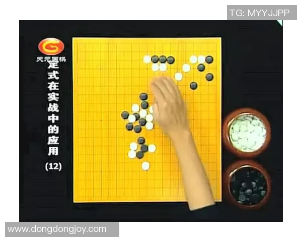 深入分析成都排球队防反战术的独特魅力与实战应用